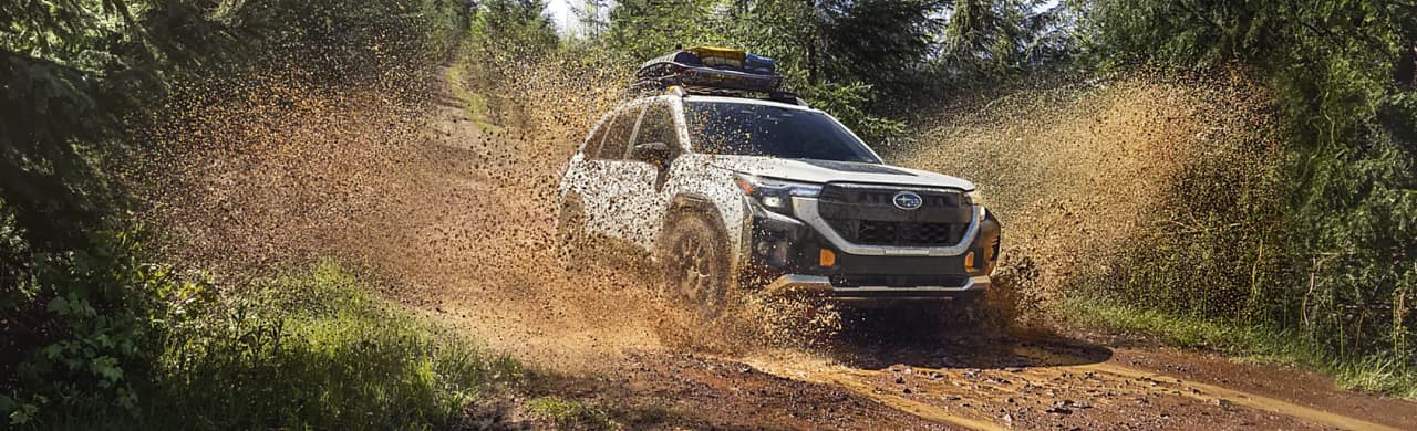New Subaru Forester & Honda CR-V SUVs for Sale Near Savannah & Coastal GA